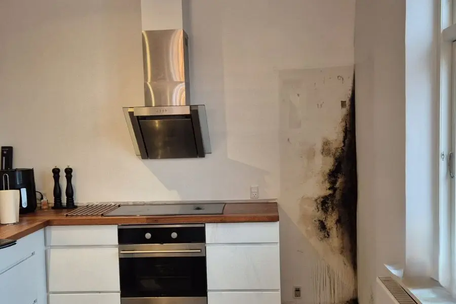 Tjekliste Vurder selv dit fugtproblem